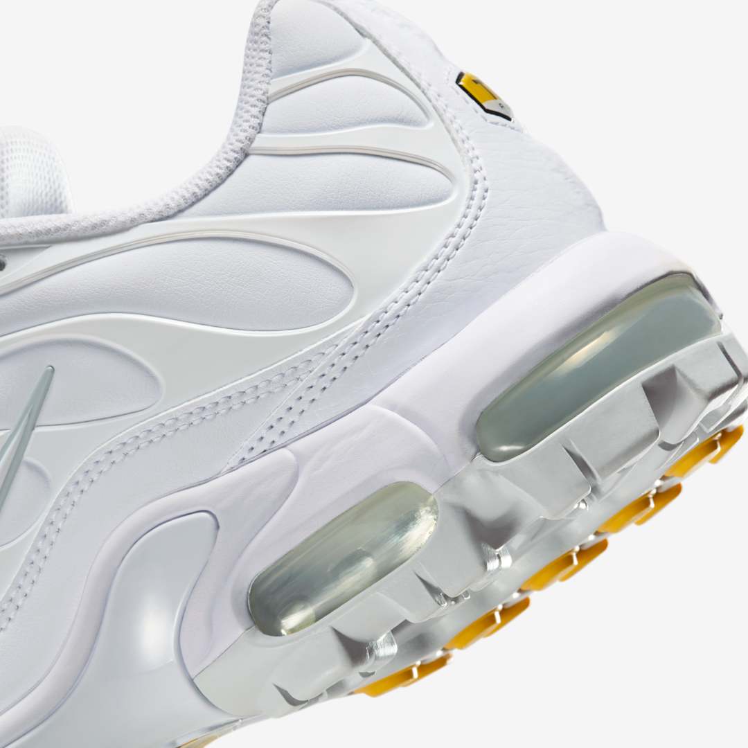 Nike Air Max Plus Golf FZ4150-100