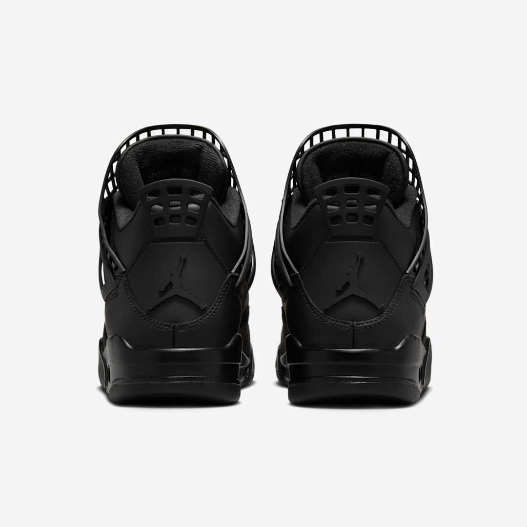 Air Jordan 4 WMNS NET FN7251-001