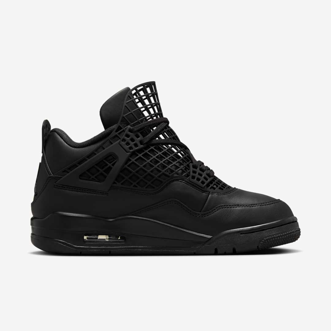 Air Jordan 4 WMNS NET FN7251-001