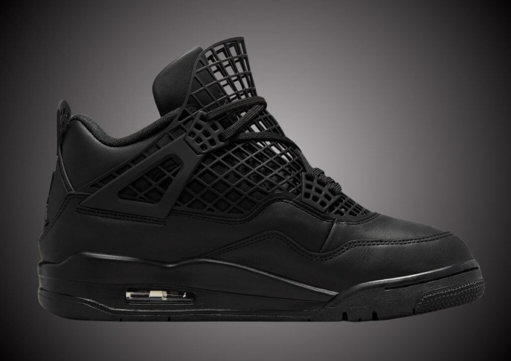 Air Jordan 4 NET Black FN7251-001 Release Info