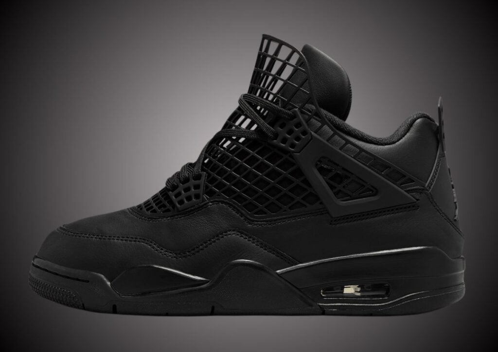 Air Jordan 4 NET Black FN7251-001 Release Info