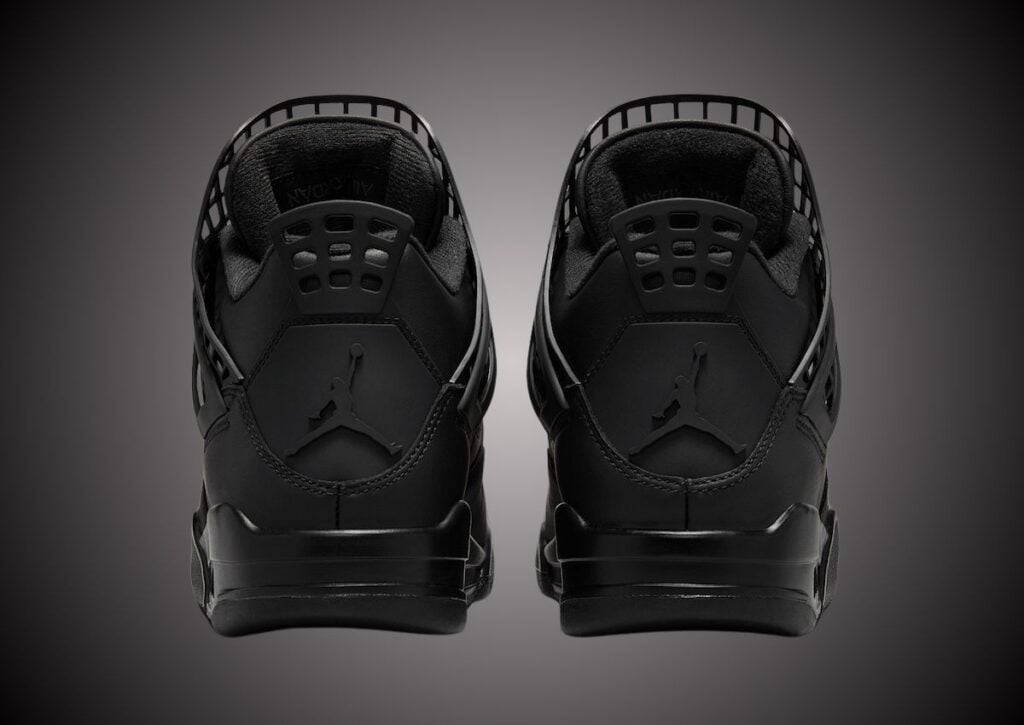 Air Jordan 4 NET Black FN7251-001 Release Info