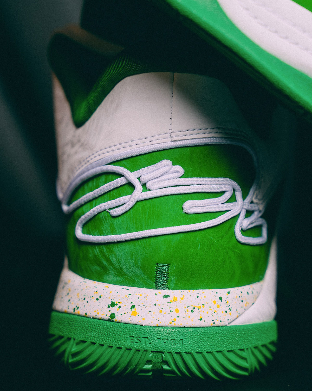 Nike Lebron 22 Oregon Ducks Pe 2025 5