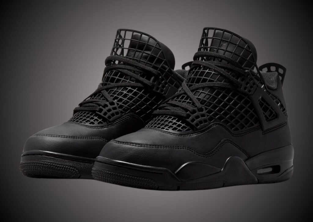 Air Jordan 4 NET Black FN7251-001 Release Info