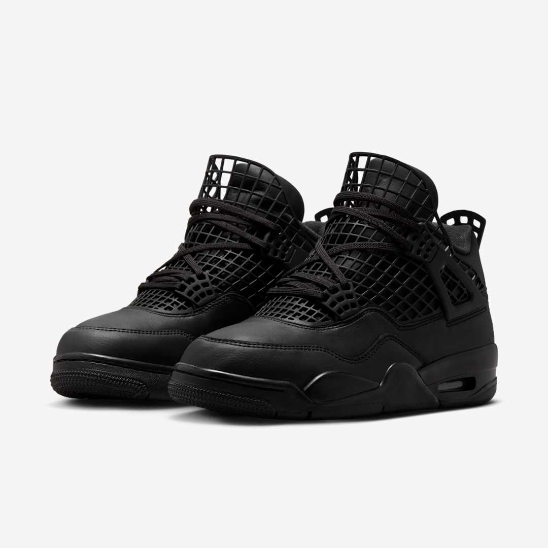 Air Jordan 4 WMNS NET FN7251-001