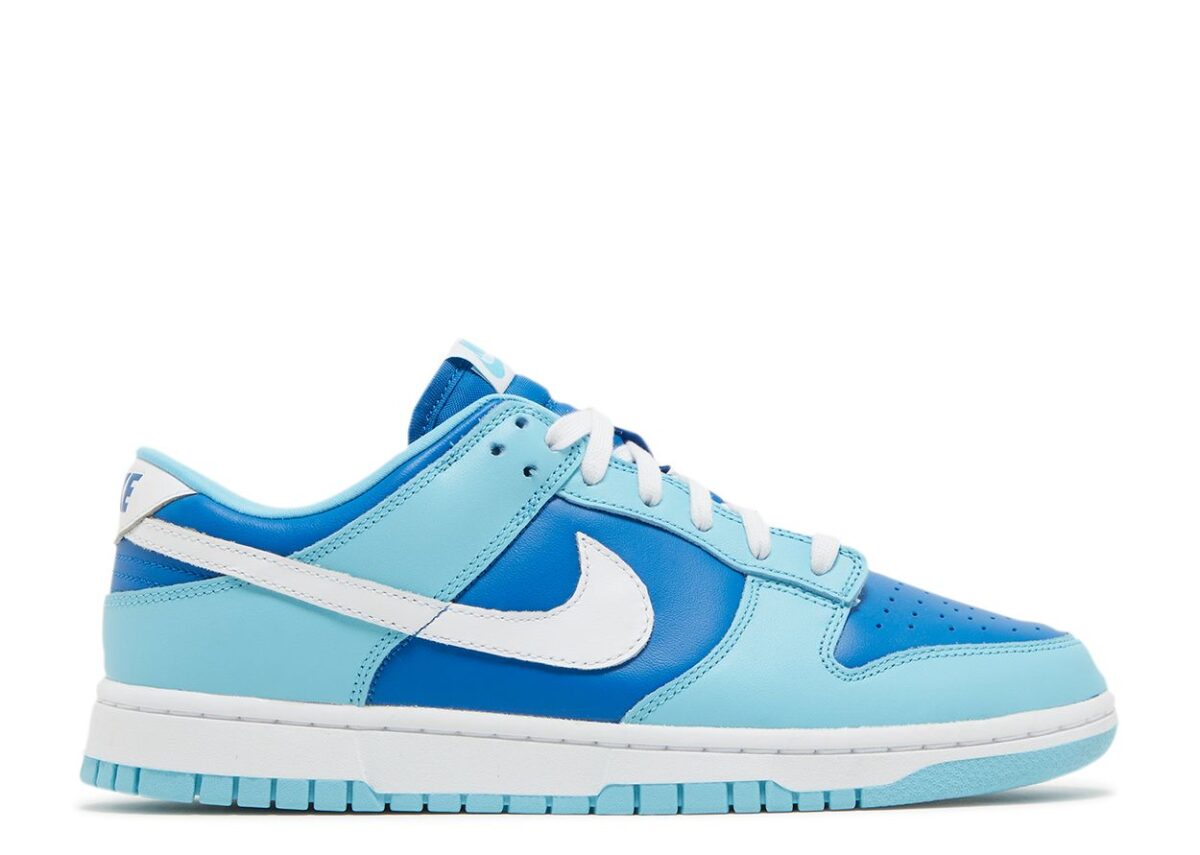 The 10 Best Nike Dunks of All Time Release Date, Price & Where to Buy 2025 8 Nike Dunk Low 'Argon' DM0121-400