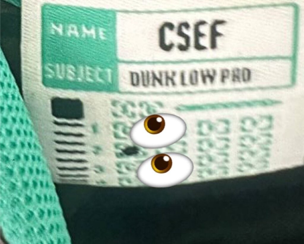 CSEF x Nike SB Dunk Low HJ4132-100 Release Date, Price & Where to Buy 2025 33 College Skateboarding Educational Foundation CSEF Nike SB Dunk Low HJ4132-100