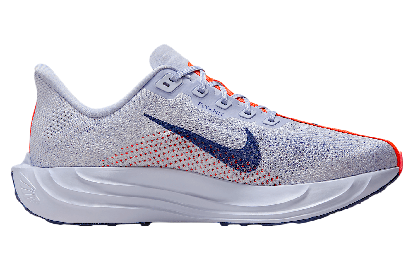 Nike Pegasus Plus Ghost / Blue Void
