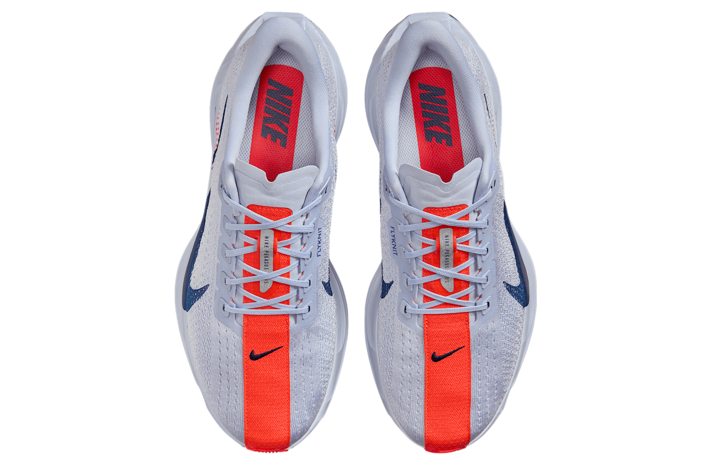 Nike Pegasus Plus Ghost / Blue Void