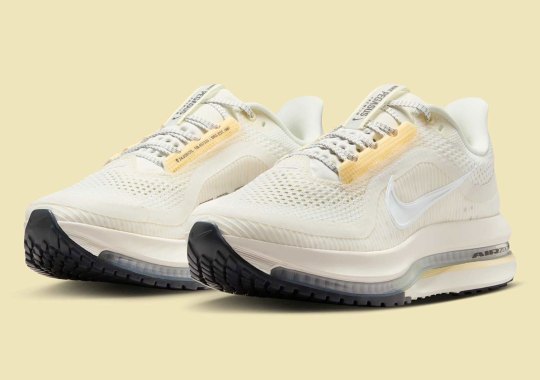 The Nike Pegasus Premium Cracks Open "Alabaster"